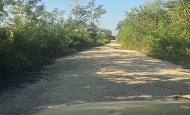 Venta de Terreno, 17 has, Tahmuy, Valladolid, Yuc.