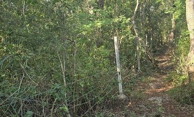 Venta de Terreno, 17 has, Tahmuy, Valladolid, Yuc.