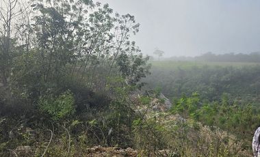 Venta de Terreno, 17 has, Tahmuy, Valladolid, Yuc.