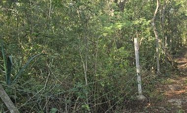 Venta de Terreno, 17 has, Tahmuy, Valladolid, Yuc.