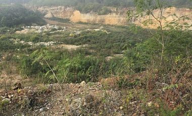 Venta de Terreno, 17 has, Tahmuy, Valladolid, Yuc.