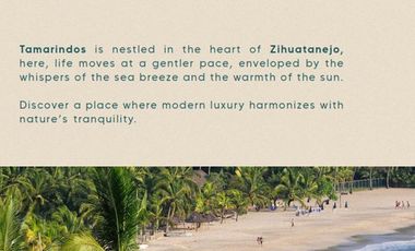 Preventa de lofts en Zihuatanejo, Guerrero