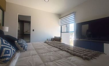 CASAS PREVENTA METEPEC A 10 MIN DE GALERIASY  METEPEC CENTRO, A 5 MIN DE LA ESTACION PINOSUAREZ TREN TOLUCA CDMX