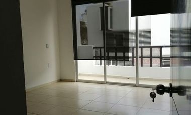 Fracc. Lomas de las Américas Sur