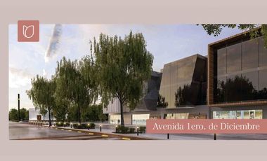 Terreno en Venta Residencial en Aguascalientes Zona NorPoniente Diamante