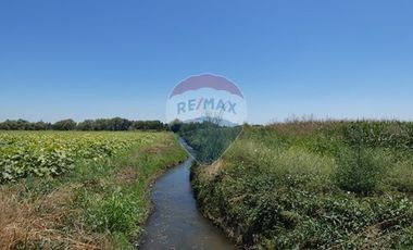 Venta, Parcela Agrícola, 12,5 Hectáreas, Pelarco