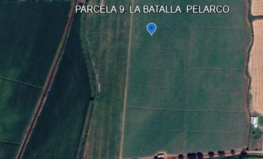 Venta, Parcela Agrícola, 12,5 Hectáreas, Pelarco