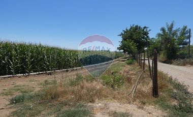 Venta, Parcela Agrícola, 12,5 Hectáreas, Pelarco