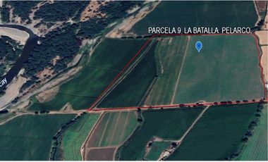 Venta, Parcela Agrícola, 12,5 Hectáreas, Pelarco