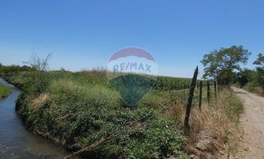 Venta, Parcela Agrícola, 12,5 Hectáreas, Pelarco