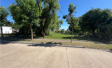 Vendo Tres Terrenos de 347 m2 C/U en Pronunciamiento, Entre Ríos.