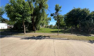 Vendo Tres Terrenos de 347 m2 C/U en Pronunciamiento, Entre Ríos.