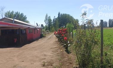 Agrícola en Venta en La Quinta Longavi,
