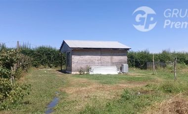 Agrícola en Venta en La Quinta Longavi,