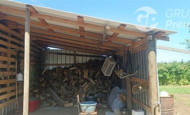 Agrícola en Venta en La Quinta Longavi,