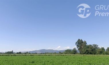 Agrícola en Venta en La Quinta Longavi,