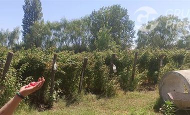 Parcela en Venta en La Quinta Longavi,