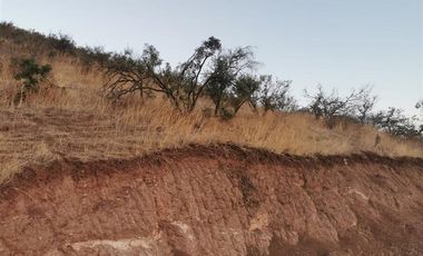 Sitio en Venta en Fundo La Estrella