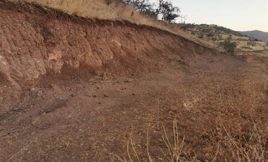 Sitio en Venta en Fundo La Estrella