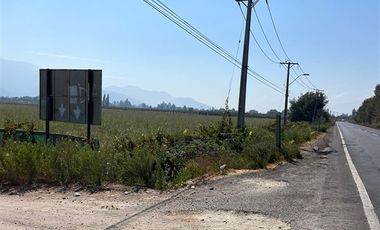Agrícola en Venta en LA MEJOR OPCION DE COMPRA TERRENO AGRICOLA EN PLACILLA