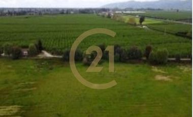 Venta de parcela Acceso a Carretera, 20,85 Ha.