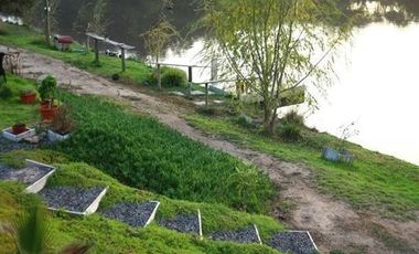 Parcela en Venta en Lomas de San antonio, camino a Codigua