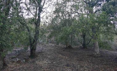 Casa en Venta en sector altos de miraflores