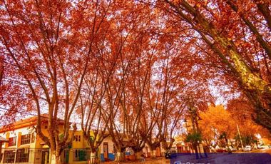 Oportunidad de ensueño en Isla de Maipo