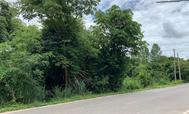 Land for sale in Hang Dong, Chiang Mai