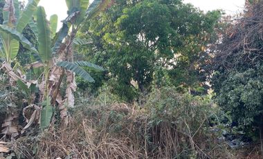 Land for sale in Hang Dong, Chiang Mai