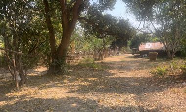 Land for sale in Hang Dong, Chiang Mai