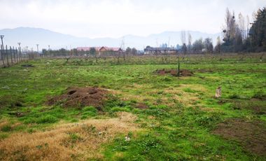 Venta Terreno Parcelación Doña Alfonsina Coinco