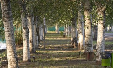 VENTA/FINANCIACIÓN - Terreno. Pinares de Sur.