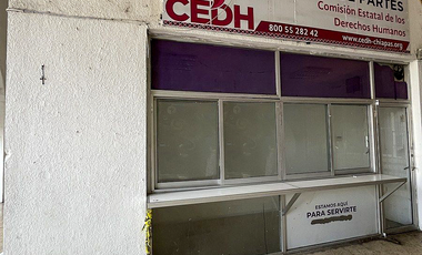 LOCAL EN RENTA ATRÁS DE CATEDRAL DE SAN MARCOS