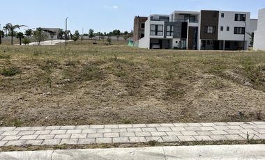 Terrenos contiguos en Venta en Parque Adara