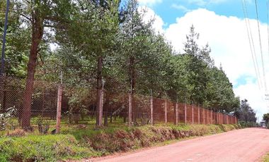 Propiedad en Venta en Zacatlan