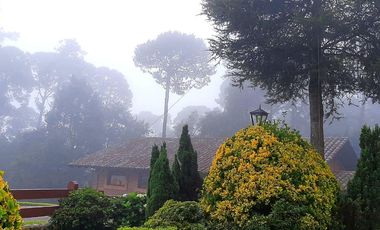 Propiedad en Venta en Zacatlan