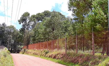 Propiedad en Venta en Zacatlan