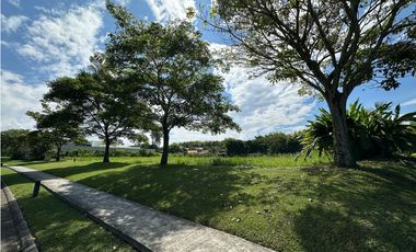 LOTE EN VENTA CERRITOS