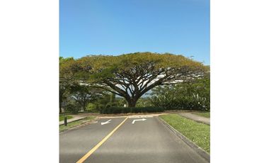 LOTE EN VENTA CERRITOS