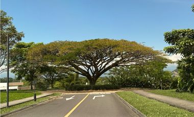 LOTE EN VENTA CERRITOS