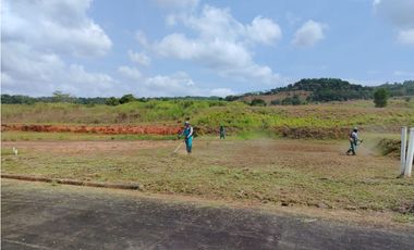 TERRENO A LA VENTA GREEN VALLEY PEDREGAL