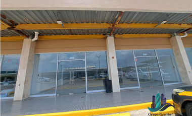 ALQUILER LOCALES EN LA 24 DICIEMBRE TOCUMEN 289M2 KAF