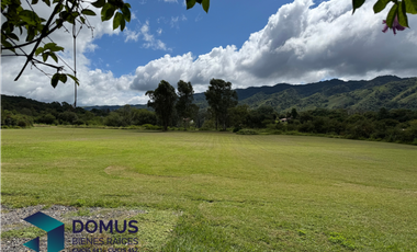 VENTA PREDIO 4 HECTAREAS Y CASA LESSER CASTELLANOS