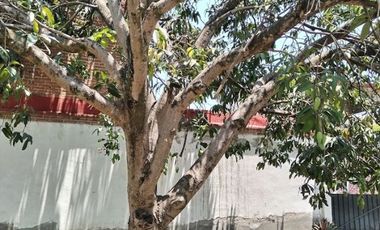 Casa en Privada en Francisco I. Madero (La Nopalera) Yautepec - CRB-1088-Cp