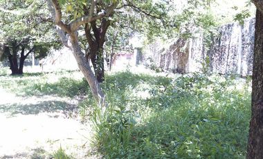 Rancho  en Xoxocotla Puente de Ixtla - CRB-412-Ra