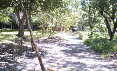 Rancho  en Xoxocotla Puente de Ixtla - CRB-412-Ra