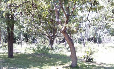 Rancho  en Xoxocotla Puente de Ixtla - CRB-412-Ra