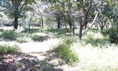 Rancho  en Xoxocotla Puente de Ixtla - CRB-412-Ra