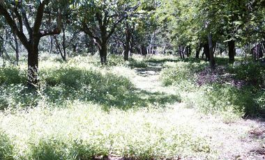 Rancho  en Xoxocotla Puente de Ixtla - CRB-412-Ra